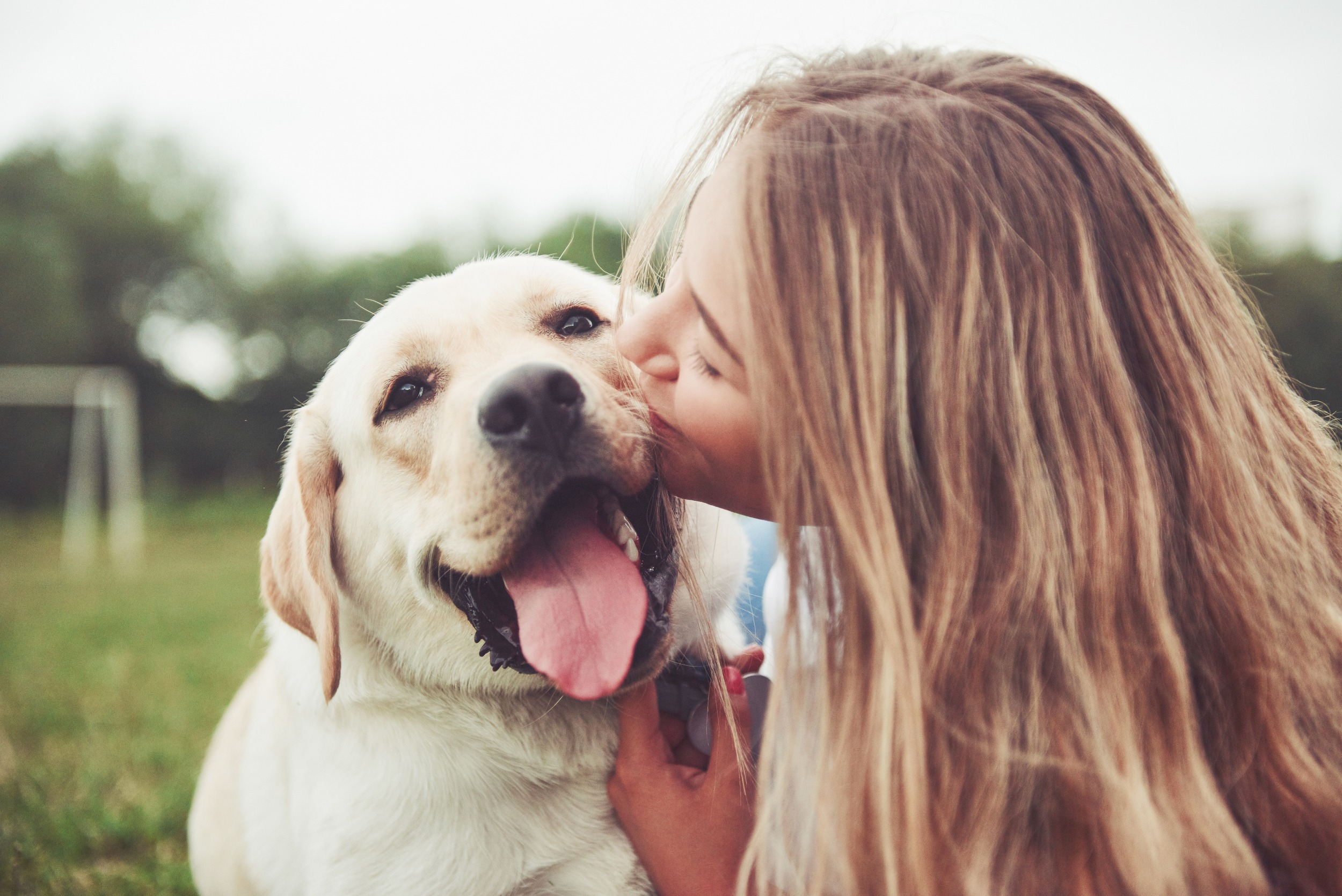 Girl Kissing Cute Dog